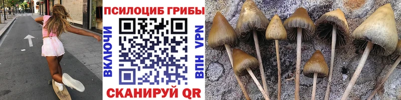 Галлюциногенные грибы Psilocybe  цена наркотик  Белово 